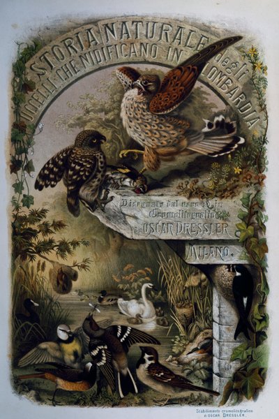 Titelside af Natural History of Birds, der yngler i Lombardiet, af Eugenio Bettoni (1845-1898), gravering af Oscar Dressler, Italien af Eugenio Bettoni, Oscar Dressler