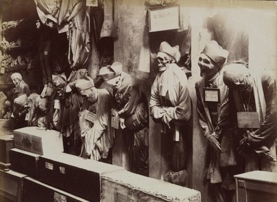 Katakomberne, Kapucinerklosteret, Palermo, ca. 1895. af Eugenio Interguglielmi