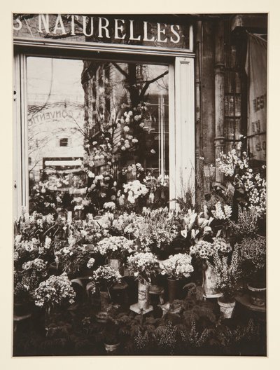 Blomsterbutik -37 (Blomsterbutik) af Eugène Atget