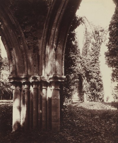 Dammarie-les-Lys, ruiner af Eugène Atget