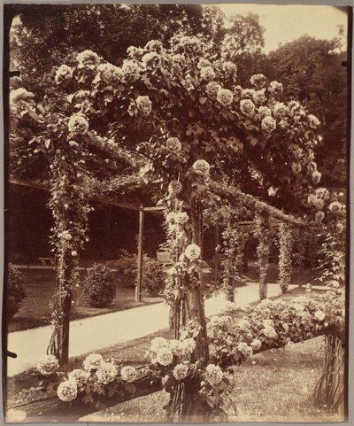 [Jardin de Bagatelle] af Eugène Atget