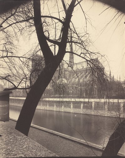 Vor Frue af Eugène Atget