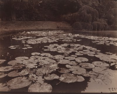 Åkander (Bagatelle) af Eugène Atget