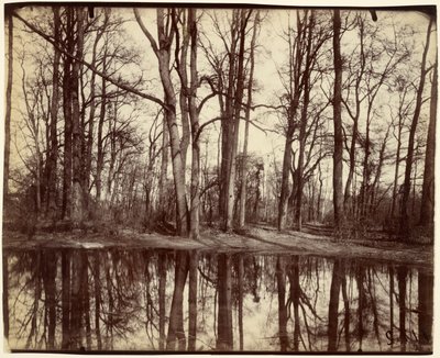 Saint-Cloud af Eugène Atget