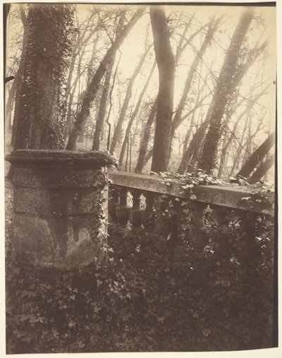 Saint-Cloud Park, Paris af Eugène Atget