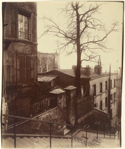 Trappe, Montmartre, 1921. af Eugène Atget