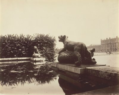 Versailles, Fontaine du Point du Jour, Tiger Slaying a Bear af Houzeau, 1903. af Eugène Atget
