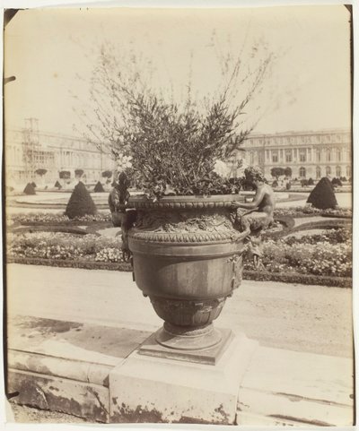 Versailles, Vase af Ballin, 1902. af Eugène Atget