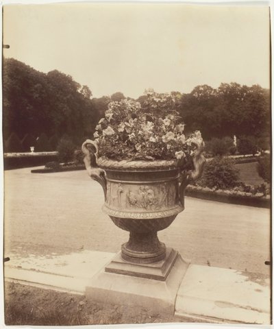 Versailles, Vase af Ballin, 1902. af Eugène Atget