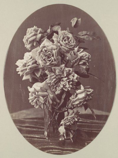 [Roser], ca. 1875. af Eugène Chauvigné