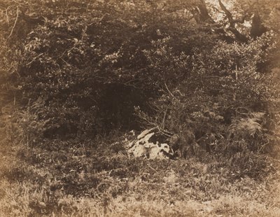 En klippe i skoven, ca. 1865. af Eugène Cuvelier