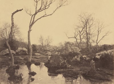 Smukke kors, ca. 1858. af Eugène Cuvelier