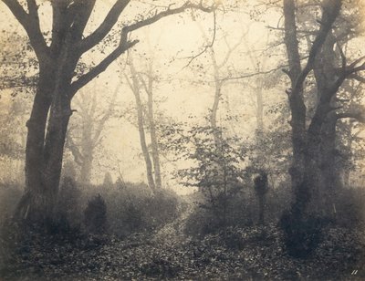 [Fontainebleau Forest], begyndelsen af 1860