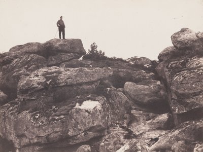 Gorges de Franchard - Foret de Fontainebleau (Franchard-kløften - Fontainebleau-skoven),20. oktober af Eugène Cuvelier