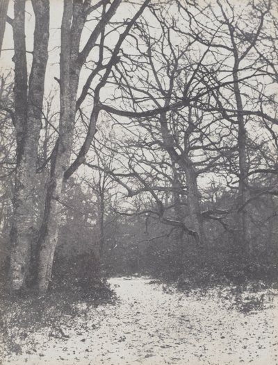 Vej i Skoven, 1860-1863. af Eugène Cuvelier