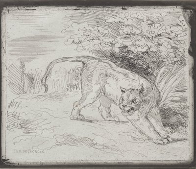 En fanget tiger af Eugène Delacroix