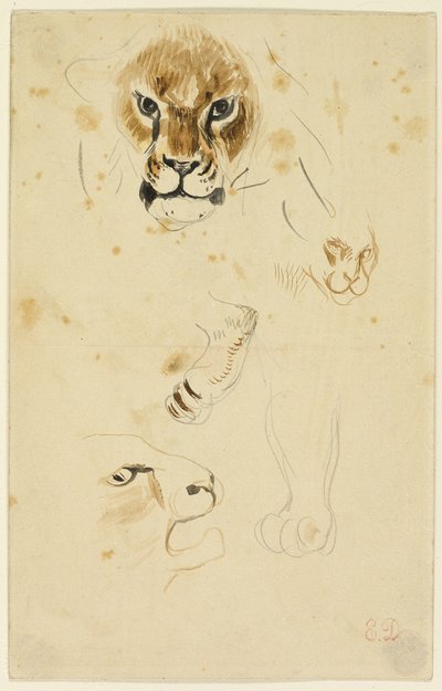 Løvernes hoveder og poter af Eugène Delacroix