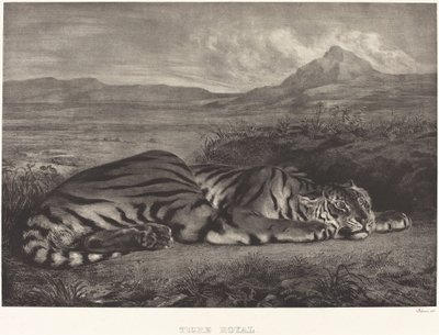 Royal Tiger (Tigre Royal) af Eugène Delacroix
