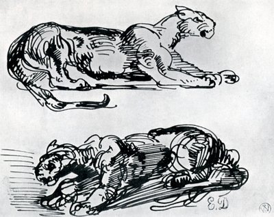 Studier af pantere, 1913 af Ferdinand Victor Eugene Delacroix