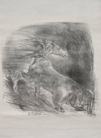 Den vilde hest, eller bange hest, der forlader vandet af Eugène Delacroix