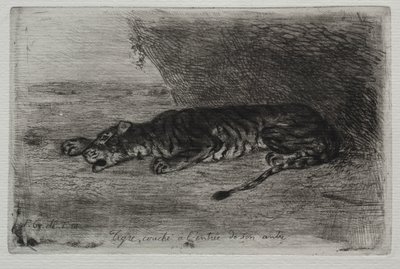 Tiger sover ved indgangen til hans hule af Eugène Delacroix