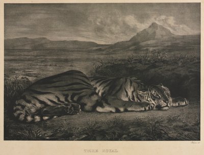 kongelig tiger af Eugène Delacroix