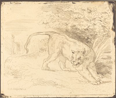 Tiger i stop af Eugène Delacroix