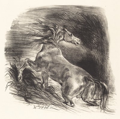 Wild Horse Coming Out of the Water Cheval sauvage, 1828. af Eugène Delacroix