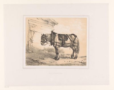 Hest med sadel og grime Forskellige dyr (serietitel) Etudes d