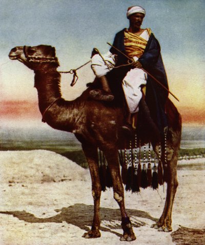 En beduin (foto) af European Photographer