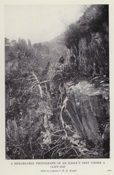 Et bemærkelsesværdigt fotografi af en ørnerede under en klippetop (s/h foto) af European Photographer