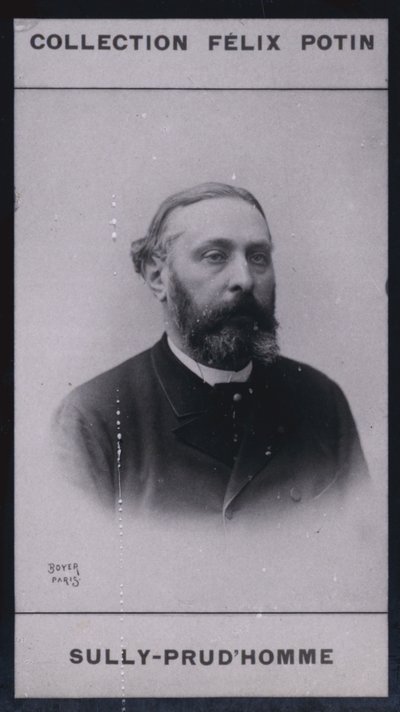 Armand Sully Prudhomme (1839) (s/h-foto) af European Photographer