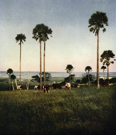 Australien, Illawarra (foto) af European Photographer