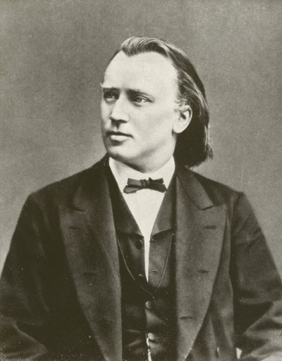 Johannes Brahms, portræt, ca. 1876 (s/h foto) af European Photographer