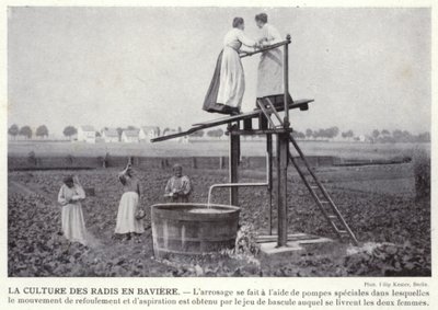 Radisekulturen i Bayern (s/h-billede) af European Photographer