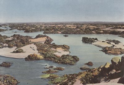 Nilens anden grå stær af European Photographer