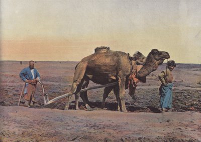 Arbejdsmand Tekes af European Photographer