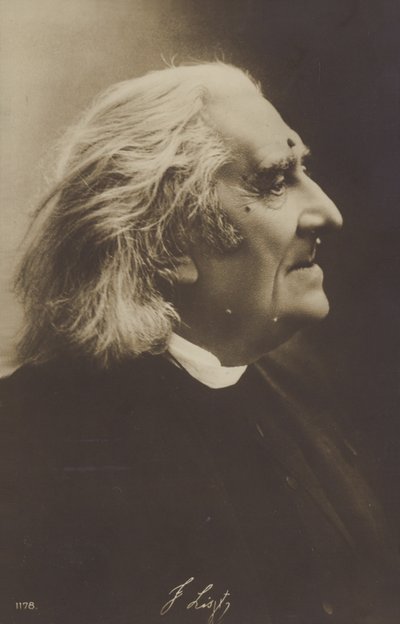 Portræt af Franz Liszt af European Photographer