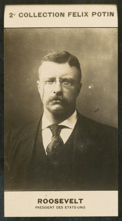 Theodore Roosevelt, USA