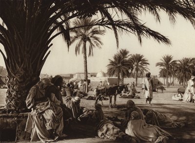 Touggourt Oasis (s/h foto) af European Photographer