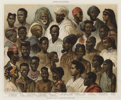 afrikanske racer af European School