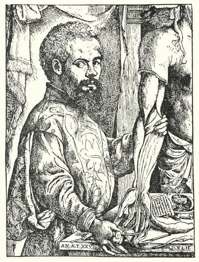 Andreas Vesalius (kobberstik) af European School
