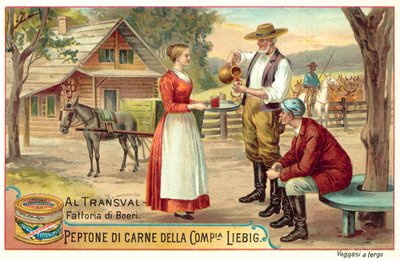 Boer farm i Transvaal (chromolitho) af European School