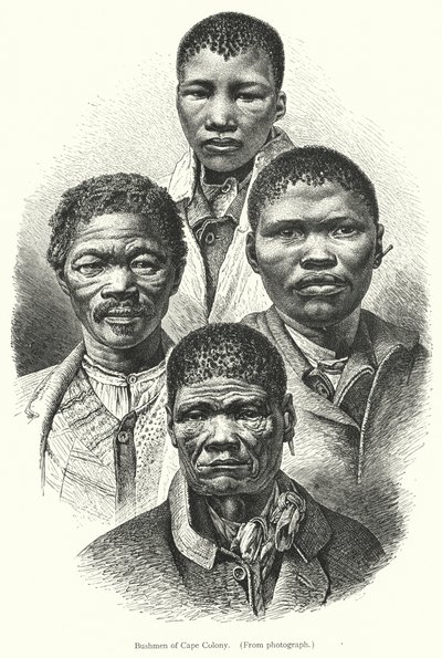Bushmen fra Kapkolonien (gravering) af European School