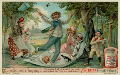 Sommerfuglejagt og en picnic af European School