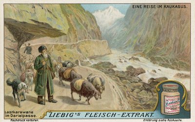 Caravan in the Darial Gorge, Russia  af European School