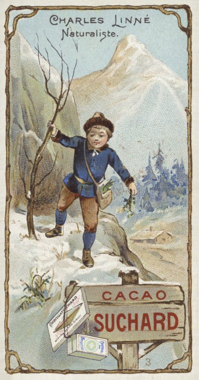Carl Linnaeus, svensk botaniker og zoolog, som barn af European School
