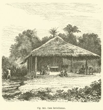 Brasiliansk æske (gravering) af European School