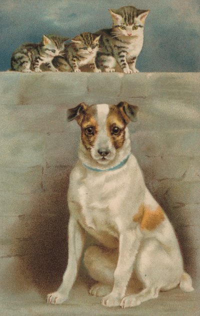 Katte observerer en hund (farvelitografi) af European School