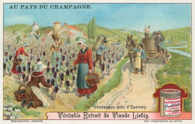 Champagne, Liebig-kort, begyndelsen af det 20. århundrede (chromo) af European School